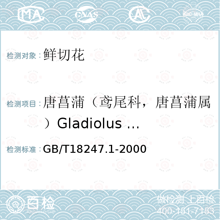 唐菖蒲（鸢尾科，唐菖蒲属）Gladiolus hybridus GB/T 18247.1-2000 主要花卉产品等级 第1部分:鲜切花