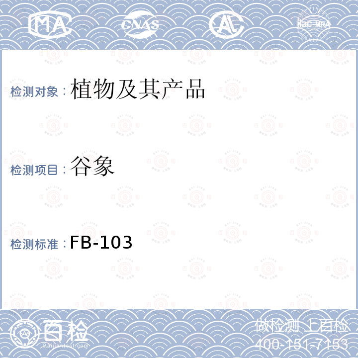 谷象 FB-103 昆虫鉴定