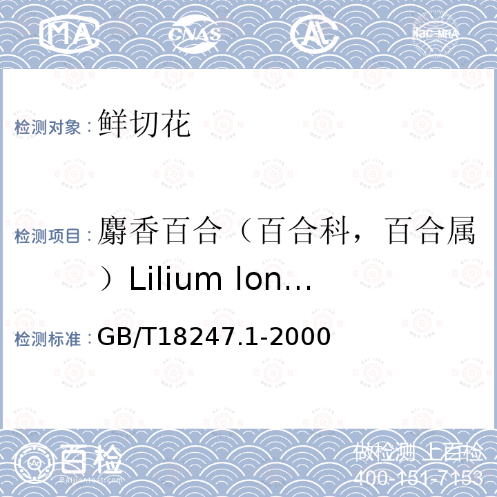 麝香百合（百合科，百合属）Lilium longiflorum(Longiflorum hybrids) GB/T 18247.1-2000 主要花卉产品等级 第1部分:鲜切花