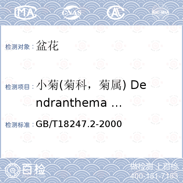 小菊(菊科，菊属) Dendranthema grandifloram 主要花卉产品等级第2部分：盆花