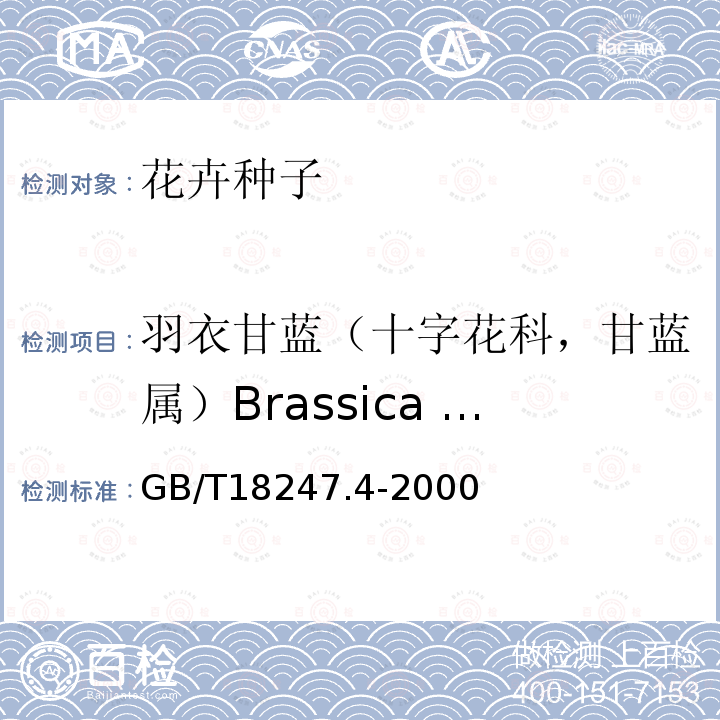 羽衣甘蓝（十字花科，甘蓝属）Brassica oleracea var. Acephala L. GB/T 18247.4-2000 主要花卉产品等级 第4部分:花卉种子