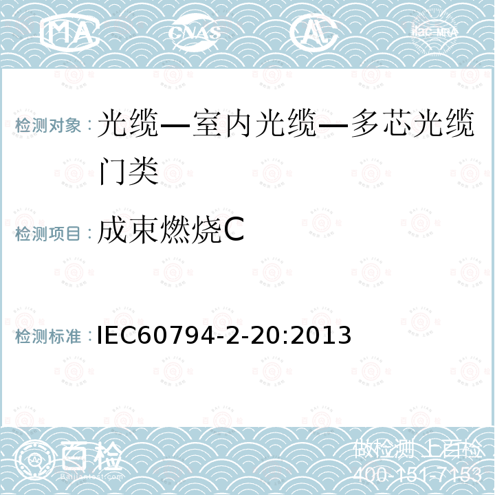 成束燃烧C IEC 60794-2-20-2013 光缆 第2-20部分:室内光缆 多纤分布光缆的族规范