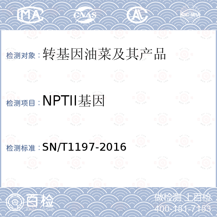 NPTII基因 油菜中转基因成分检测 普通PCR和实时荧光PCR方法