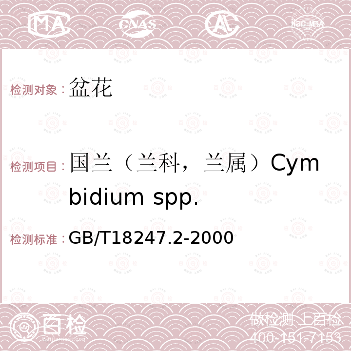 国兰（兰科，兰属）Cymbidium spp. 主要花卉产品等级第2部分：盆花