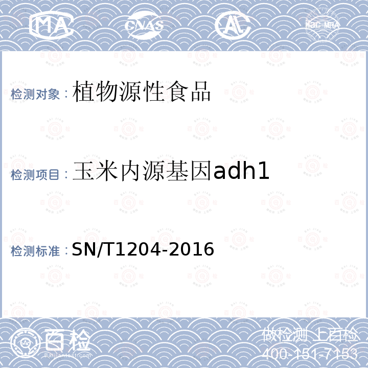 玉米内源基因adh1 植物及其加工产品中转基因成分实时荧光PCR定性检验方法