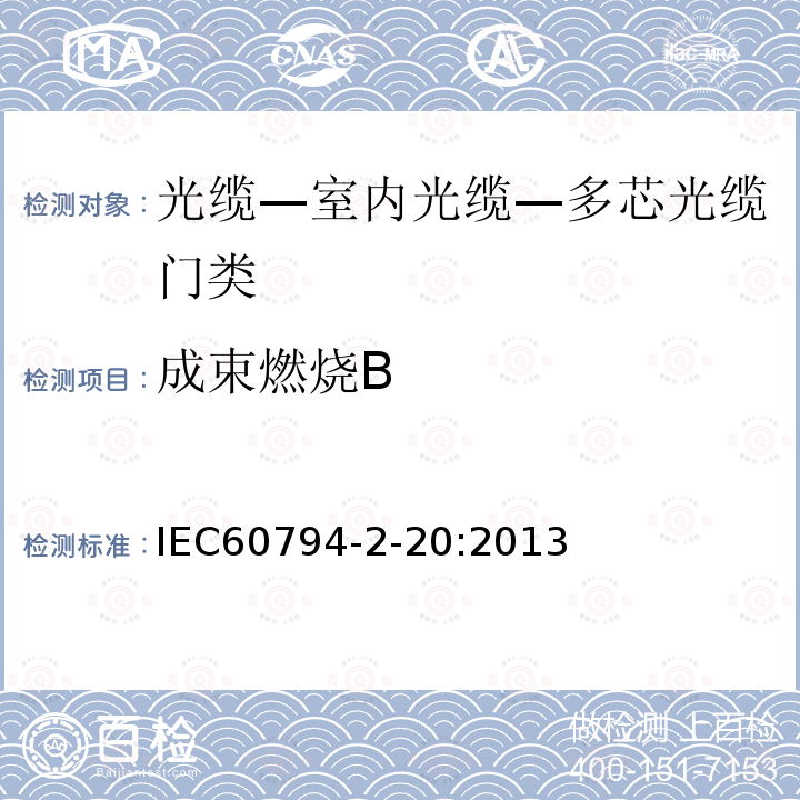 成束燃烧B IEC 60794-2-20-2013 光缆 第2-20部分:室内光缆 多纤分布光缆的族规范
