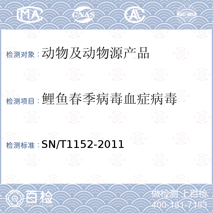 鲤鱼春季病毒血症病毒 SN/T 1152-2011 鲤春病毒血症检疫技术规范