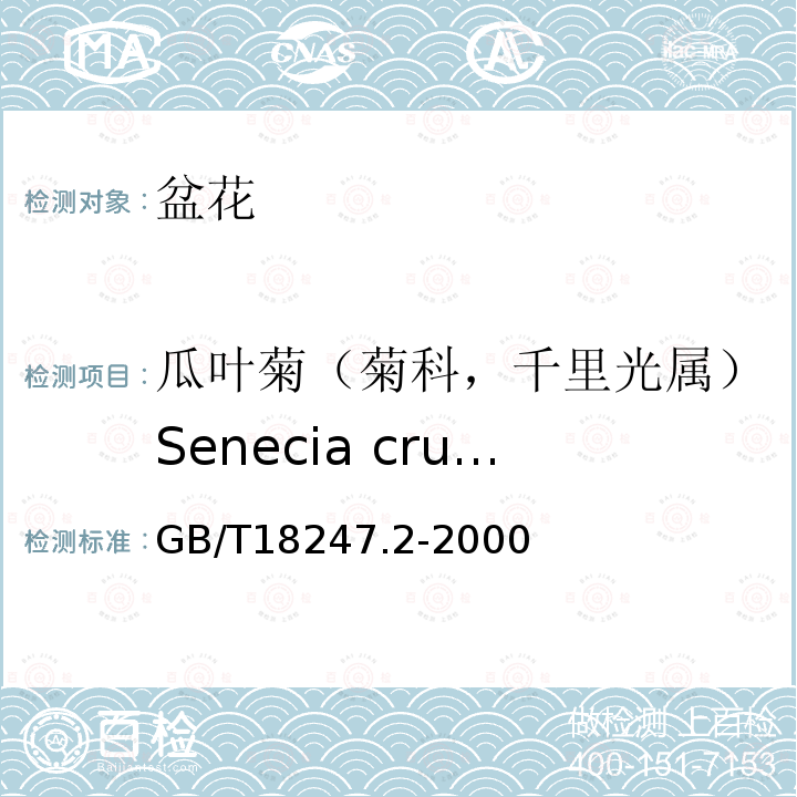瓜叶菊（菊科，千里光属）Senecia cruentus GB/T 18247.2-2000 主要花卉产品等级 第2部分:盆花