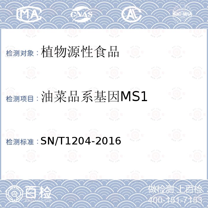 油菜品系基因MS1 植物及其加工产品中转基因成分实时荧光PCR定性检验方法