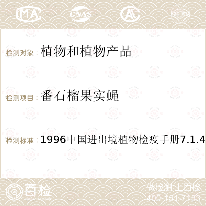 番石榴果实蝇 1996中国进出境植物检疫手册