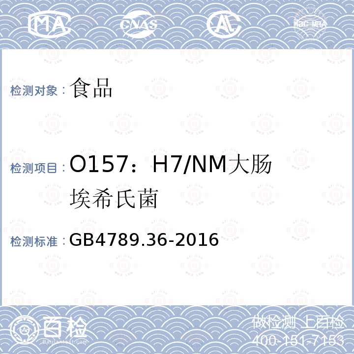 O157：H7/NM大肠埃希氏菌 食品安全国家标准 食品微生物学检验 大肠埃希氏菌O157：H7/NM