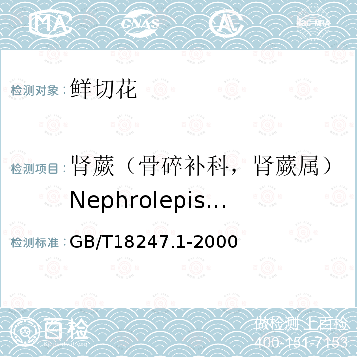 肾蕨（骨碎补科，肾蕨属）Nephrolepis cordifolia GB/T 18247.1-2000 主要花卉产品等级 第1部分:鲜切花