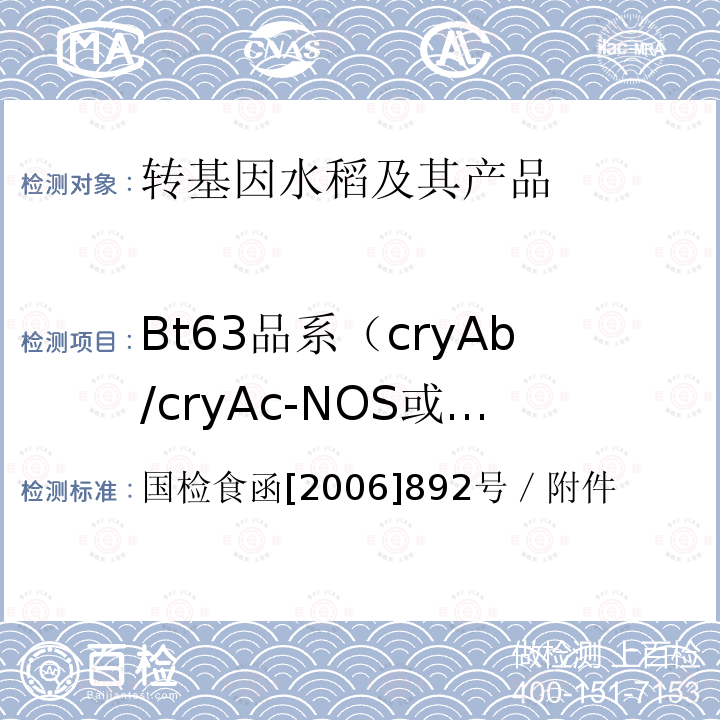 Bt63品系（cryAb/cryAc-NOS或cryAb/c-NOS)或Btc 食品中转基因大米成分实时荧光PCR检测方法