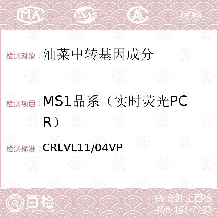 MS1品系（实时荧光PCR） 转基因油菜MS1品系特异性定量检测 实时荧光PCR方法