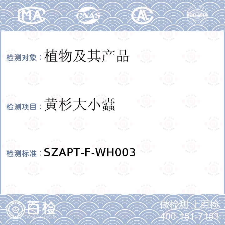 黄杉大小蠹 SZAPT-F-WH003 检疫鉴定方法