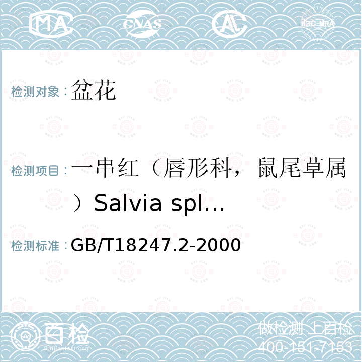 一串红（唇形科，鼠尾草属）Salvia splendens GB/T 18247.2-2000 主要花卉产品等级 第2部分:盆花