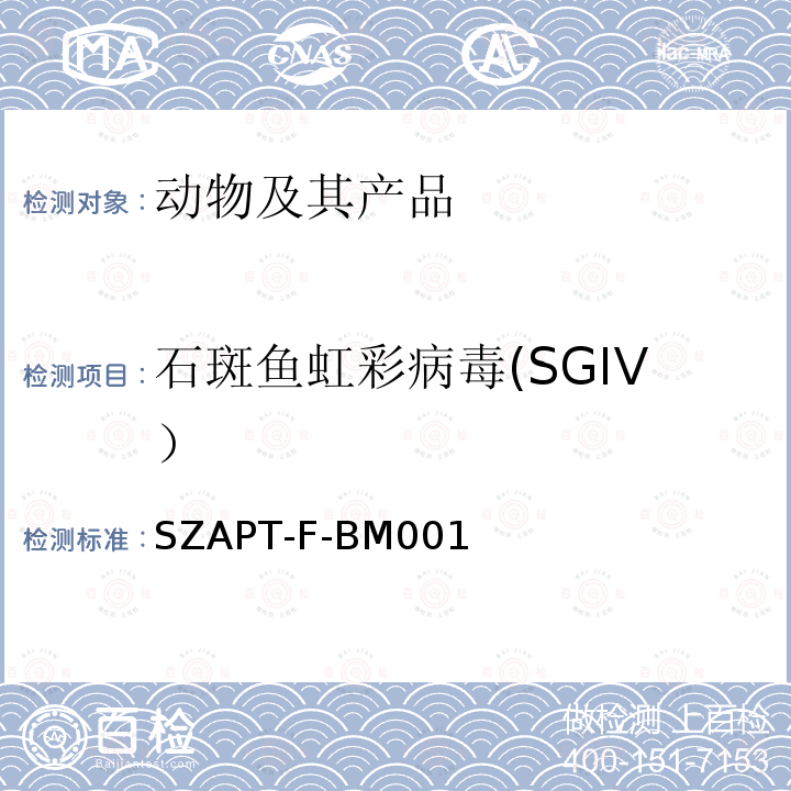 石斑鱼虹彩病毒(SGIV） 新加坡石斑鱼虹彩病毒（SGIV）检测方法