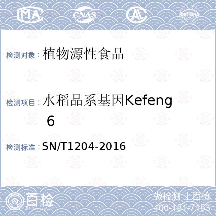 水稻品系基因Kefeng 6 植物及其加工产品中转基因成分实时荧光PCR定性检验方法