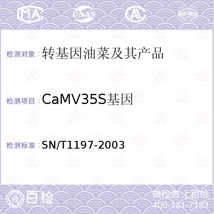 CaMV35S基因 SN/T 1197-2003 油菜籽中转基因成分定性PCR检测方法