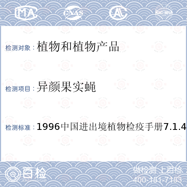 异颜果实蝇 1996中国进出境植物检疫手册