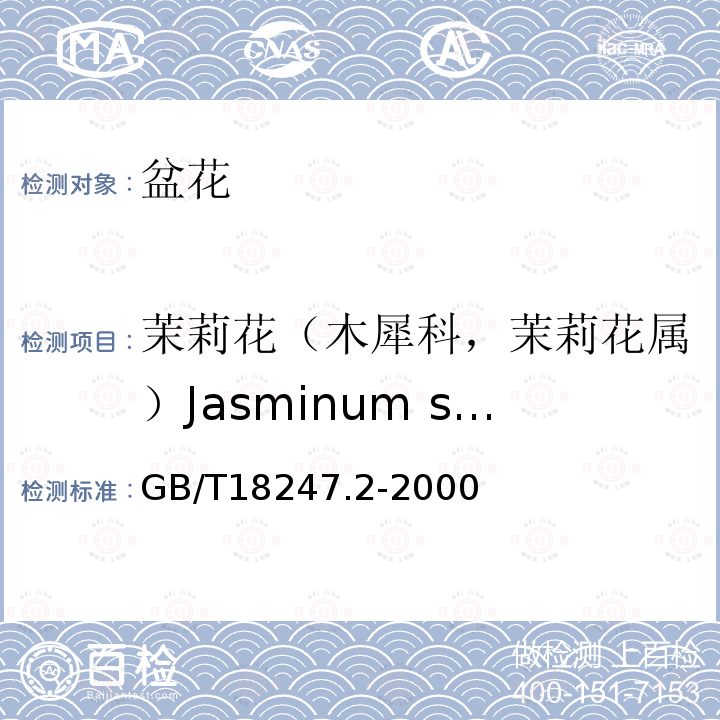 茉莉花（木犀科，茉莉花属）Jasminum sambac GB/T 18247.2-2000 主要花卉产品等级 第2部分:盆花