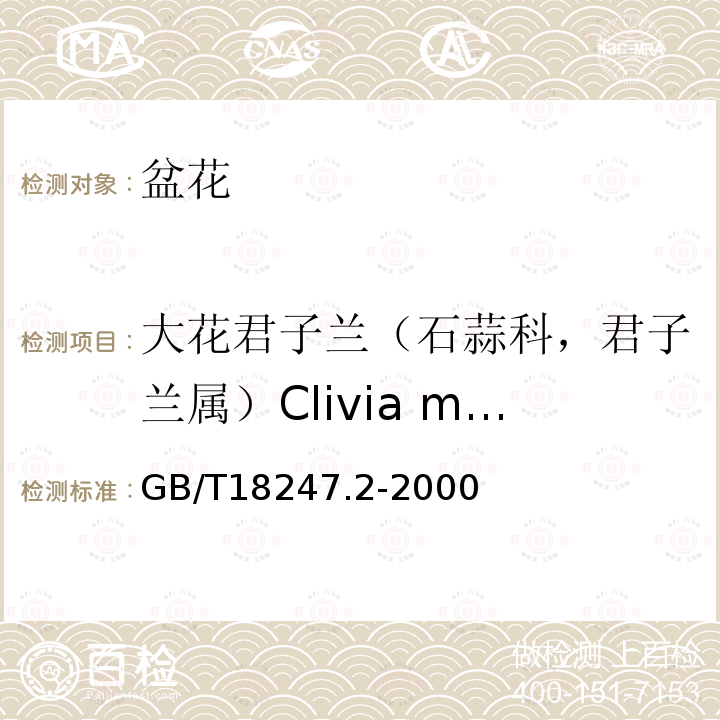 大花君子兰（石蒜科，君子兰属）Clivia miniata 主要花卉产品等级第2部分：盆花