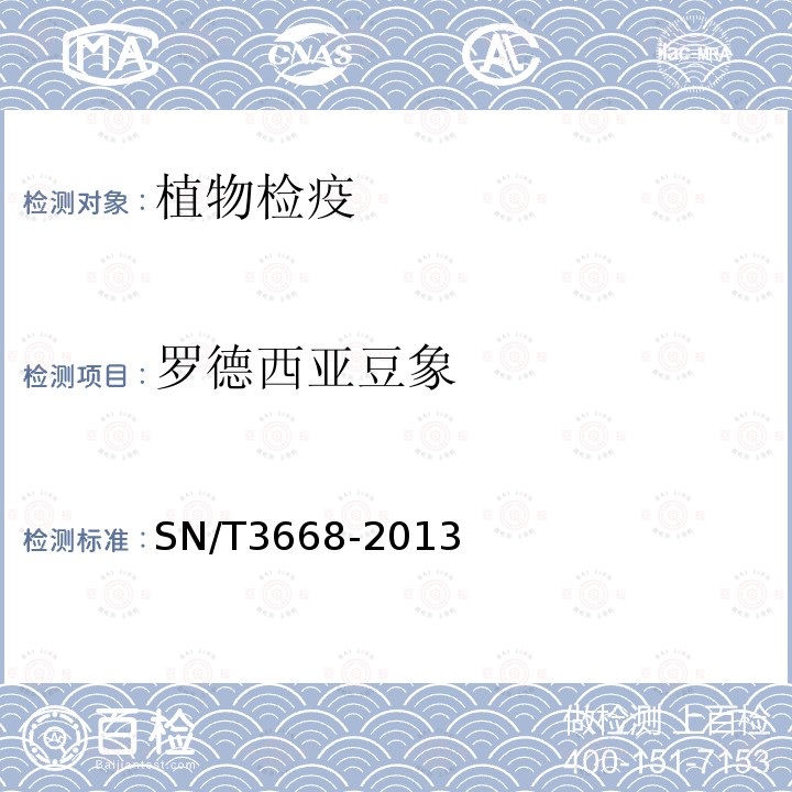 罗德西亚豆象 SN/T 3668-2013 罗得西亚豆象检疫鉴定方法