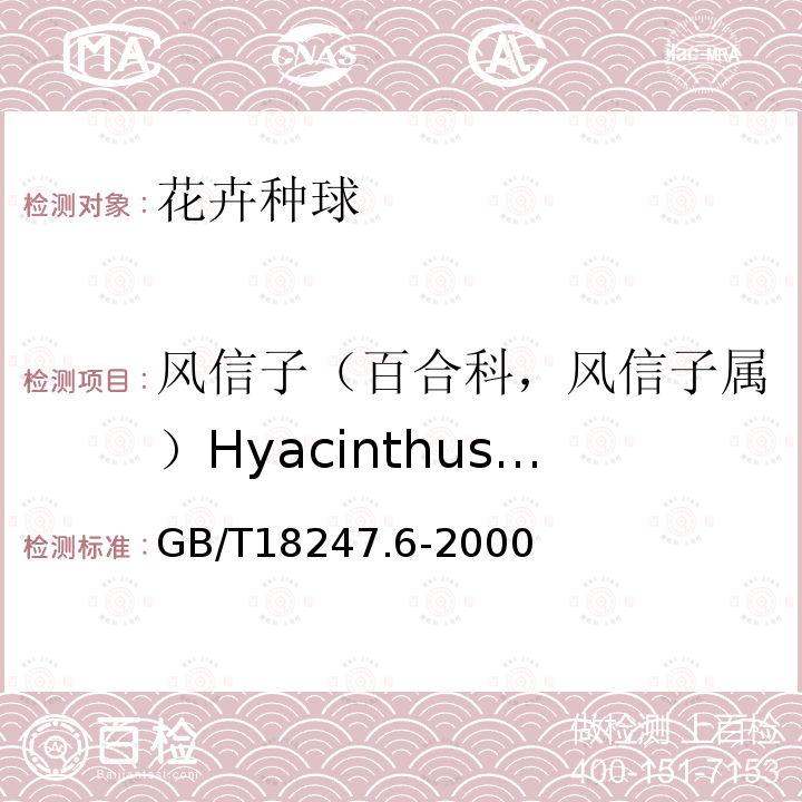 风信子（百合科，风信子属）Hyacinthus orientalis L. 主要花卉产品等级第6部分：花卉种球
