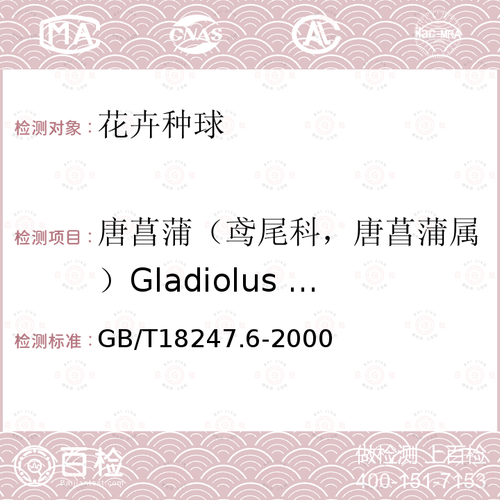 唐菖蒲（鸢尾科，唐菖蒲属）Gladiolus hybridus Hout. 主要花卉产品等级第6部分：花卉种球