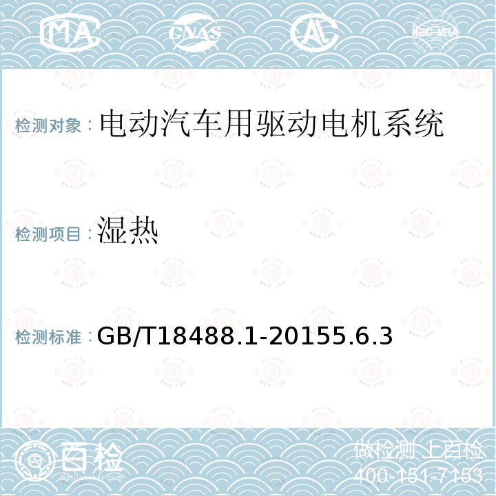 湿热 电动汽车用驱动电机系统 第1部分：技术条件