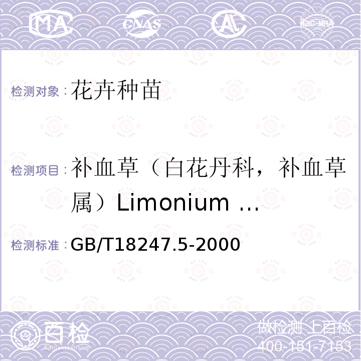 补血草（白花丹科，补血草属）Limonium sinuatum L. GB/T 18247.5-2000 主要花卉产品等级 第5部分:花卉种苗