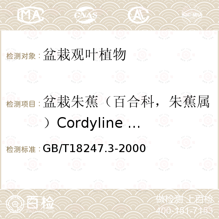 盆栽朱蕉（百合科，朱蕉属）Cordyline terminalis 主要花卉产品等级第3部分：盆栽观叶植物