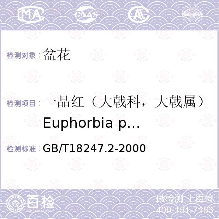 一品红（大戟科，大戟属）Euphorbia pulcherrima GB/T 18247.2-2000 主要花卉产品等级 第2部分:盆花
