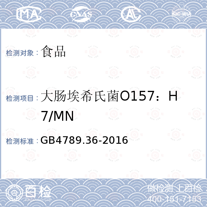 大肠埃希氏菌O157：H7/MN 食品安全国家标准 食品微生物学检验 大肠埃希氏菌O157：H7/NM检验