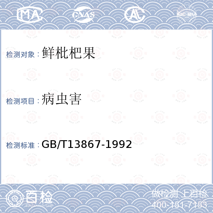 病蟲害 鮮枇杷果