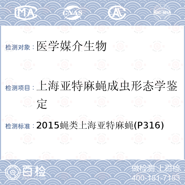 上海亚特麻蝇成虫形态学鉴定 中国国境口岸医学媒介生物鉴定图谱 天津科学技术出版社