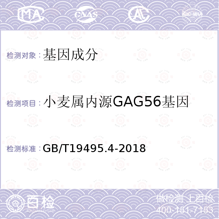 小麦属内源GAG56基因 转基因产品检测 实时荧光定性聚合酶链式反应（PCR）检测方法