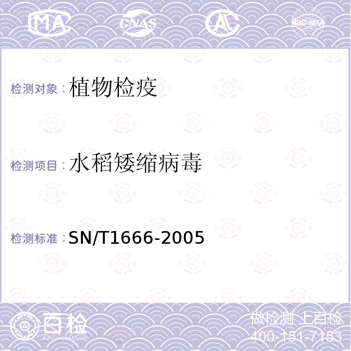 水稻矮缩病毒 水稻条纹病毒、水稻矮缩病毒、水稻黑条矮缩病毒的检测方法普通RT－PCR方法和实时荧光RT－PCR方法