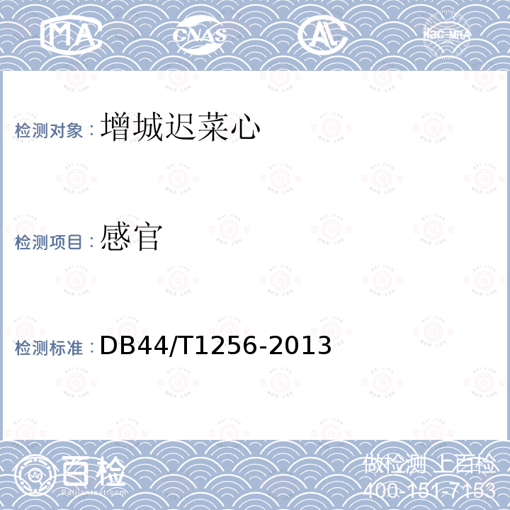 感官 DB44/T 1256-2013 地理标志产品 增城迟菜心
