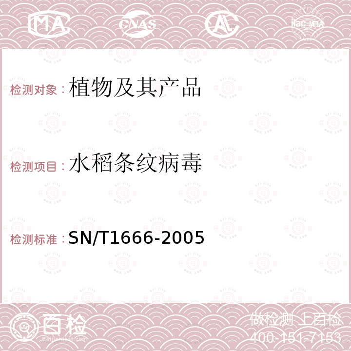 水稻条纹病毒 水稻条纹病毒、水稻矮缩病毒、水稻黑条矮缩病毒的检测方法 普通RT-PCR方法和实时荧光RT-PCR方法