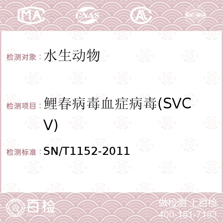 鲤春病毒血症病毒(SVCV) 鲤春病毒血症检疫技术规范