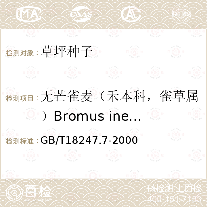 无芒雀麦（禾本科，雀草属）Bromus inermis 主要花卉产品等级第7部分：草坪