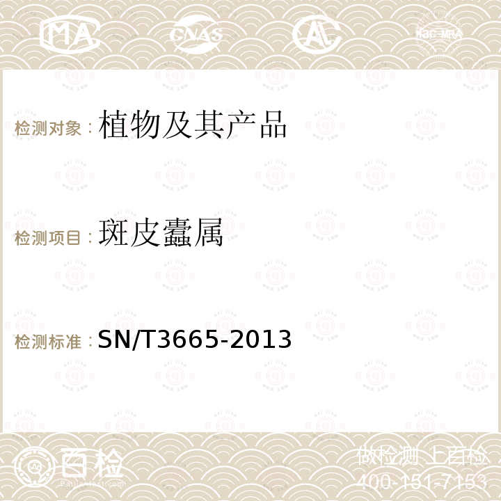 斑皮蠹屬 斑皮蠹屬檢疫鑒定方法