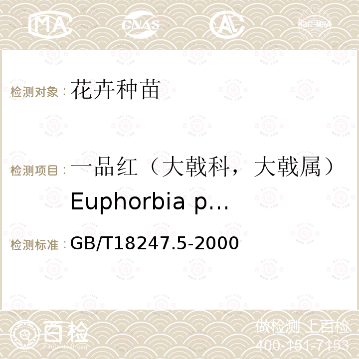 一品红（大戟科，大戟属）Euphorbia pulcherrima Willd. GB/T 18247.5-2000 主要花卉产品等级 第5部分:花卉种苗