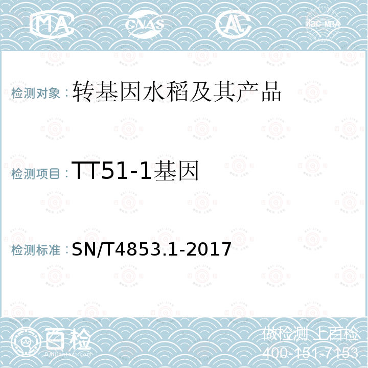 TT51-1基因 转基因大米定量检测数字PCR法 第1部分：TT51-1品系
