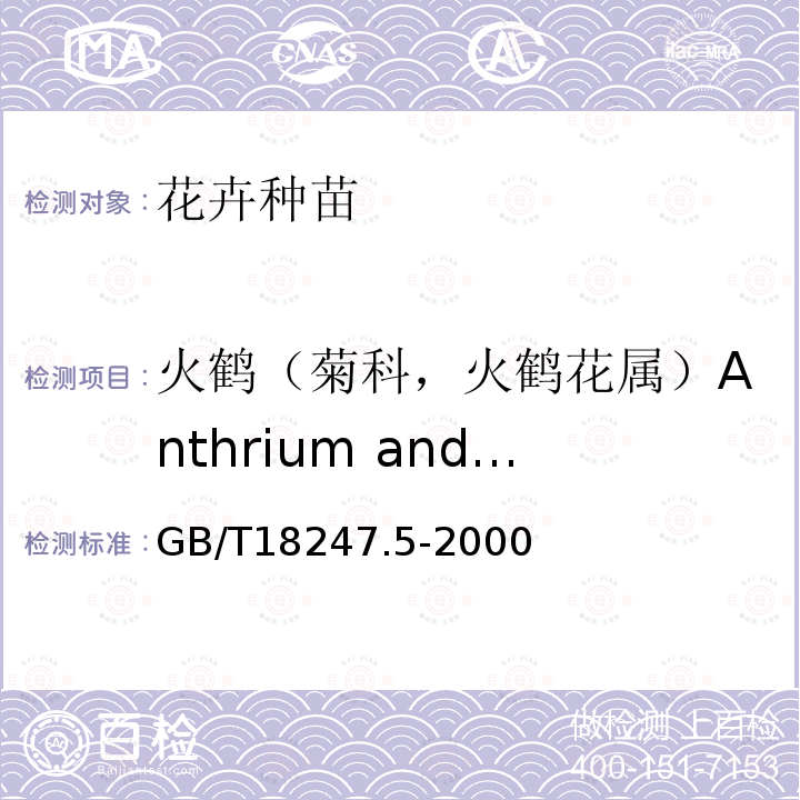 火鹤（菊科，火鹤花属）Anthrium andraeanum Lind. 主要花卉产品等级第5部分：花卉种苗