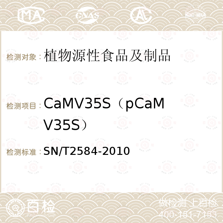 CaMV35S（pCaMV35S） 水稻及其产品中转基因成分实时荧光PCR检测方法