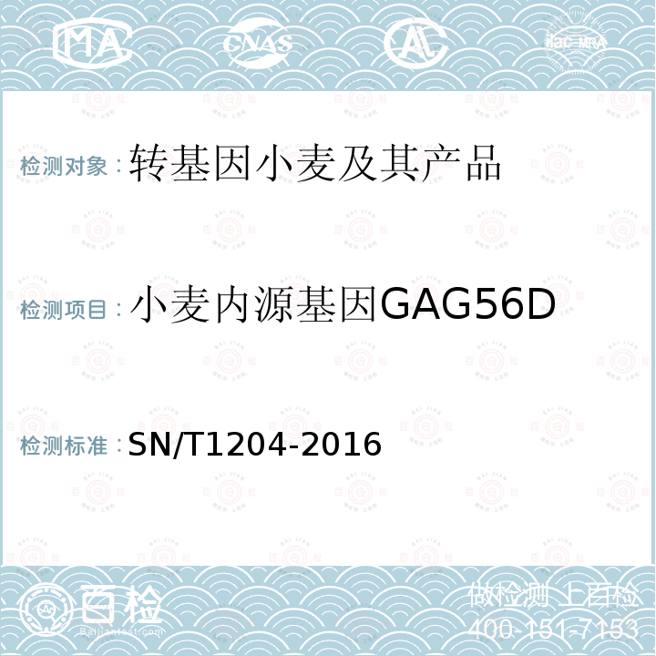 小麦内源基因GAG56D 植物及其加工产品中转基因成分实时荧光PCR定性检验方法