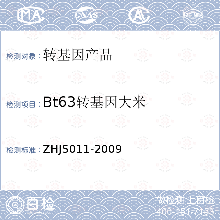 Bt63转基因大米 针对Bt转基因大米结构特异基因的实时荧光PCR检测方法