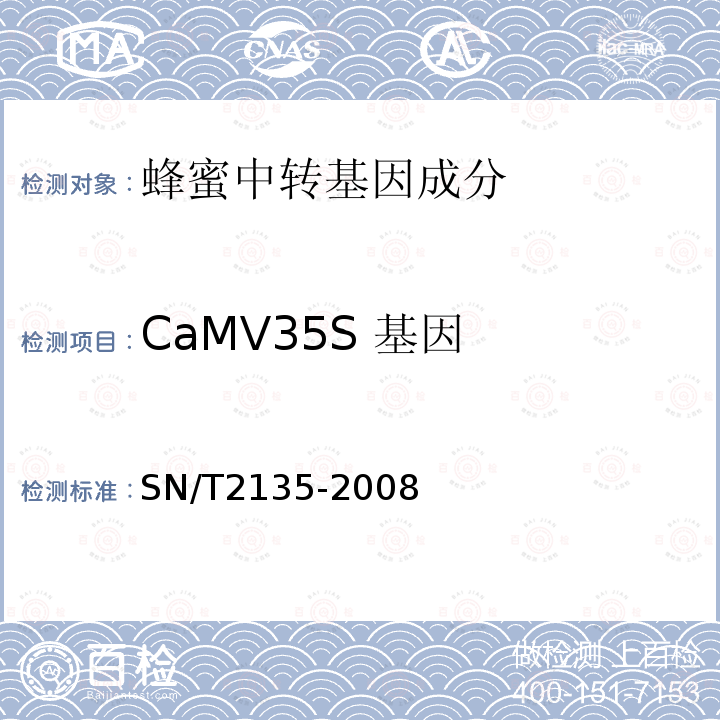CaMV35S 基因 蜂蜜中转基因成分检测方法普通PCR方法和实时荧光PCR方法